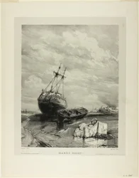 Bassa marea, tavola sei da Sei marine