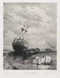 Sei marine: Bassa marea