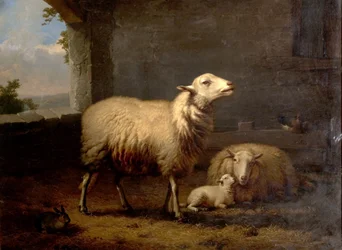 Pecore, 1876