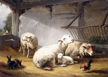 Pecore, conigli e un pollo in un fienile, 1859