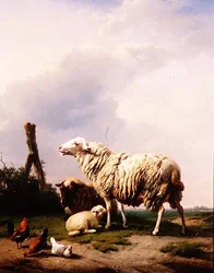 Pecore e pollame in un paesaggio