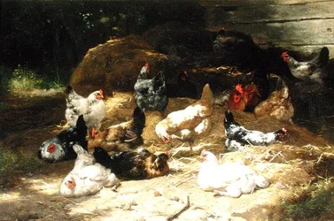 Polli