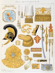 Chevau-Légers de la Garde du Roi, Insegna