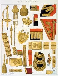 Gendarmi della Guardia del Re, insegne