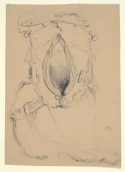 Studio di un Cavallo