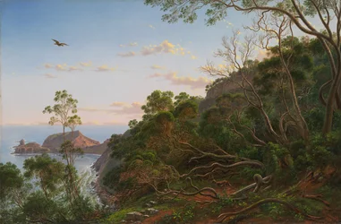 Alberi del tè vicino a Cape Schanck, Victoria