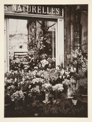 Boutique Fleurs -37 (Negozio di fiori)