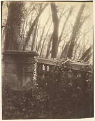 Parco di Saint-Cloud, Parigi