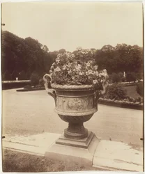 Versailles, Vaso di Ballin