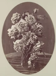 [Rose], ca. 1875