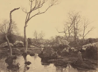 Belle Croix, 1858 circa (foto)