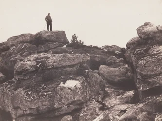 Gole di Franchard - Foresta di Fontainebleau