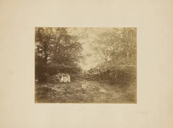 [Studio sul paesaggio]