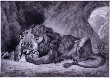 Leone dell