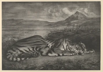 Tigre Reale, 1829