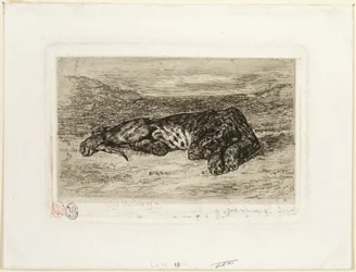 Tigre che Riposa nel Deserto