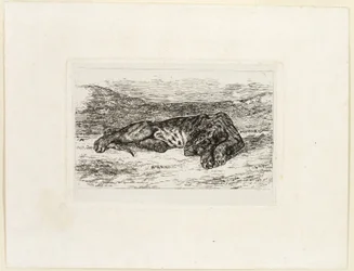 Tigre che riposa nel deserto