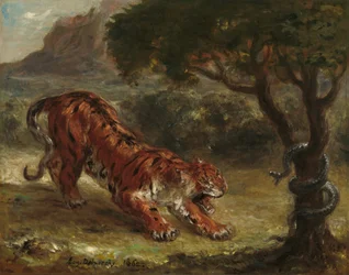 Tigre e serpente