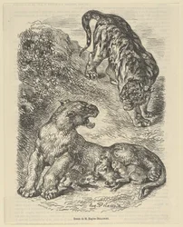 Tigre attaccata da una tigre mentre allatta i suoi piccoli, 1853