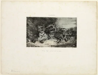 Giovane tigre che gioca con la madre