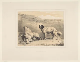 Tre cani