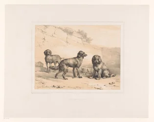 Tre cani