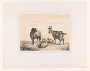 Pecora, capra e tre capretti