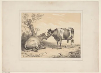Due mucche (Diverse animali domestici) (Treize sujets d