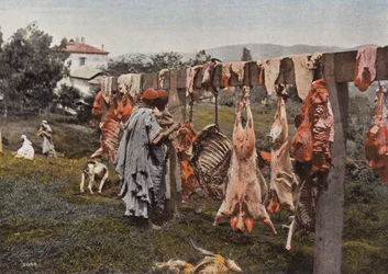 Macelleria Araba