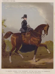Il cavallo di una signora, proprietà del defunto Conte di Pembroke (litografia a colori)