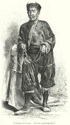 Un Lama di Lassa