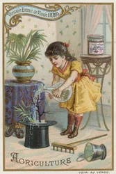 Agricoltura
