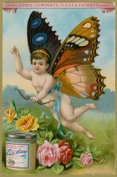 Cherubino Farfalla con Rose