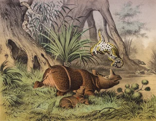 Vicino a un fiume indiano