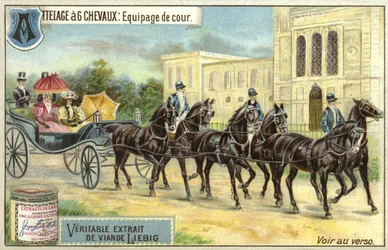 Carrozza trainata da sei cavalli