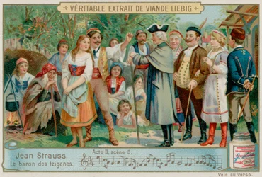 Il barone zingaro
