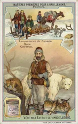 Pelliccia: lince canadese; orso e opossum