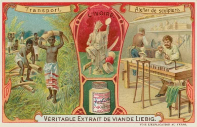 Avorio