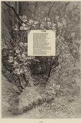 Accoppiati (incisione)