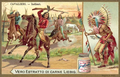 Indiani nordamericani