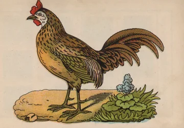 Pagina dal Libro Magico (litografia a colori)