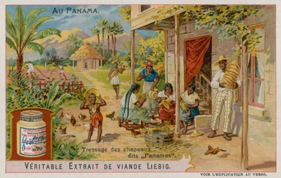 Produzione di Cappelli di Panama