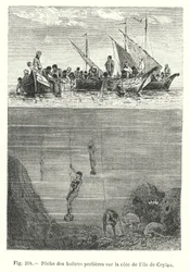 Pesca delle ostriche perlifere sulla costa dell