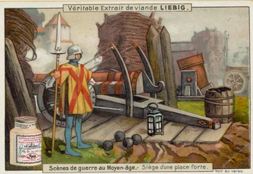 Vittorie