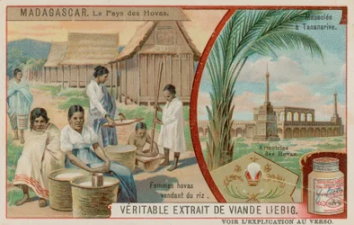 La Terra degli Hova: Donne che Vendono Riso, Mausoleo ad Antananarivo e lo Stemma degli Hova