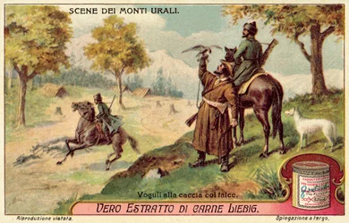 Voguli che cacciano con i falchi