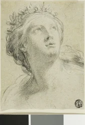 Testa di Donna