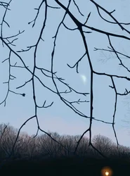 Rami, alba, Prospect Park (arte digitale)