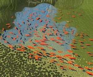 Laghetto di coy al giardino botanico (arte digitale)