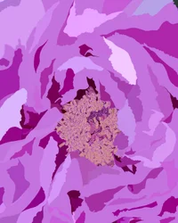 Peonia arborea, 2020-24 circa (arte digitale)